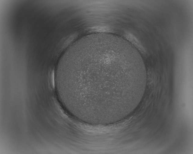 X0000074970014200609081423