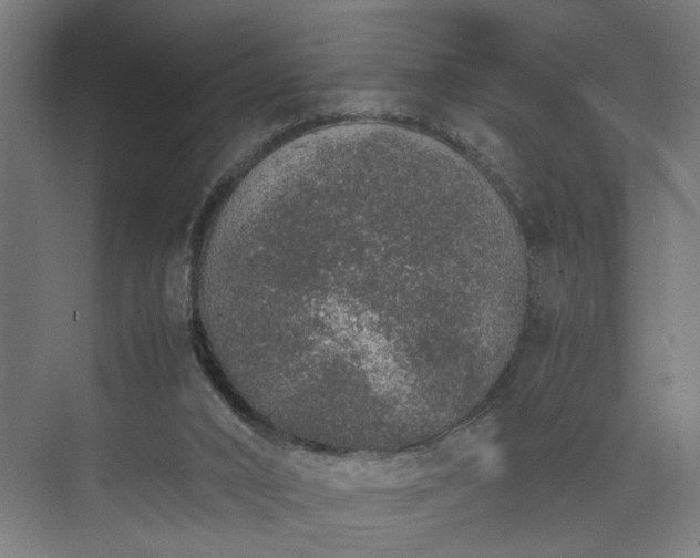 X0000074970016200609081423