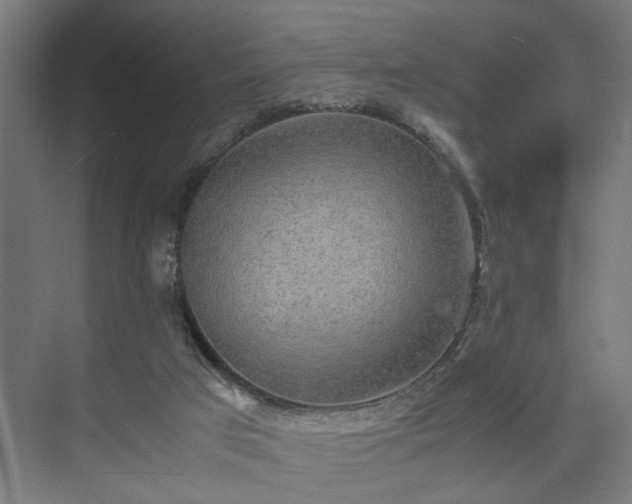 X0000074970017200609081423