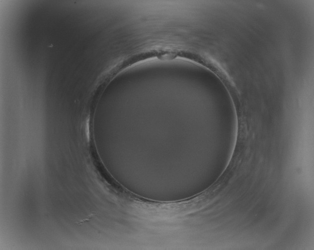 X0000074970019200609081423