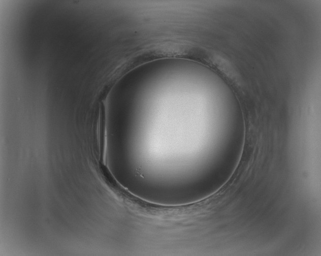 X0000074970021200609081423