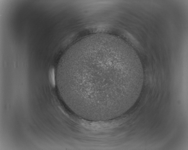 X0000074970022200609081423