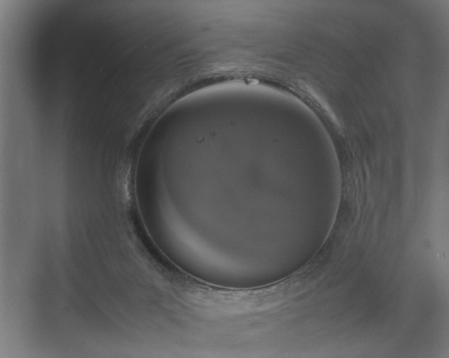 X0000074970023200609081423