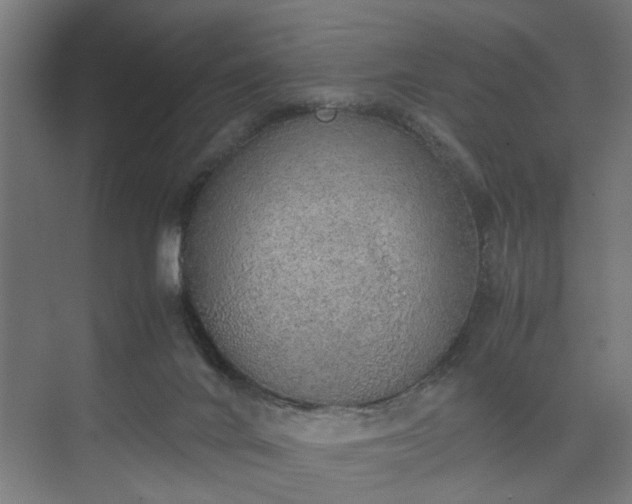 X0000074970024200609081423