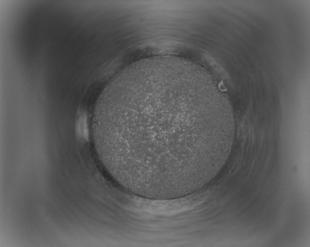 X0000074970026200609081423