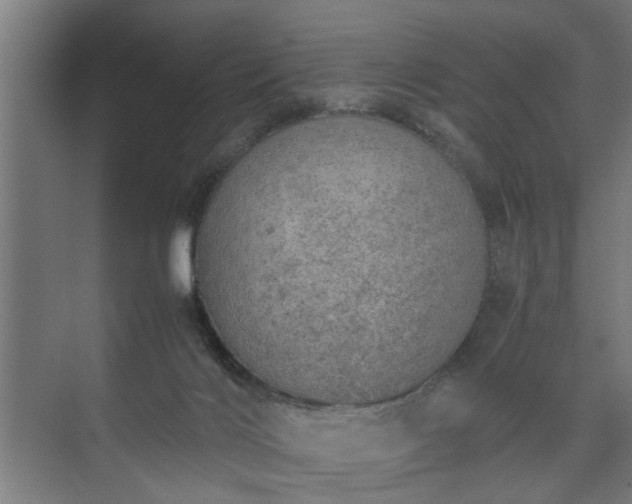 X0000074970028200609081423