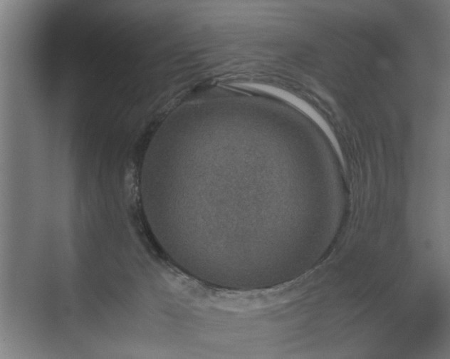 X0000074970029200609081423