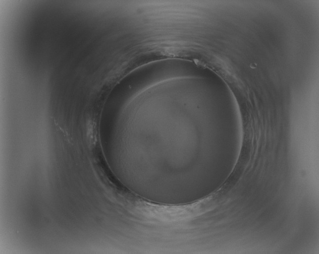 X0000074970031200609081423