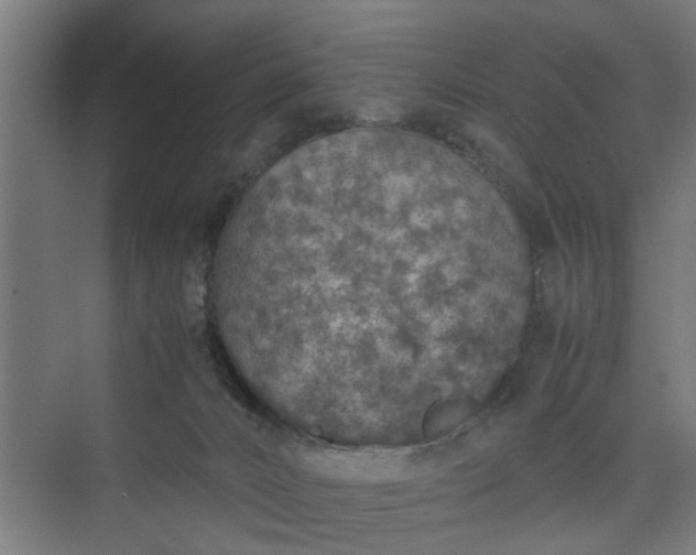 X0000074970032200609081423