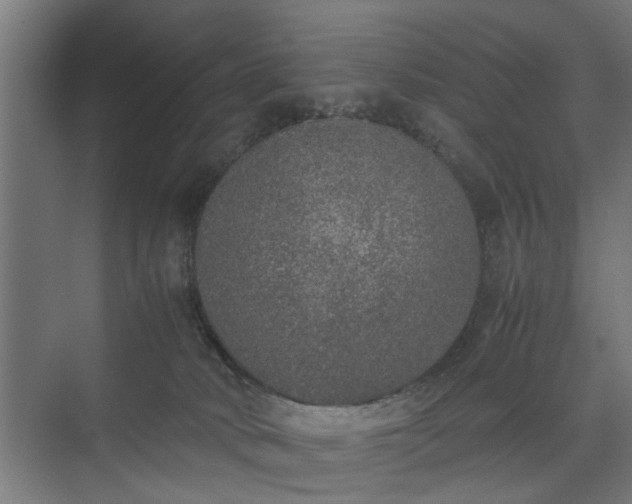 X0000074970034200609081423