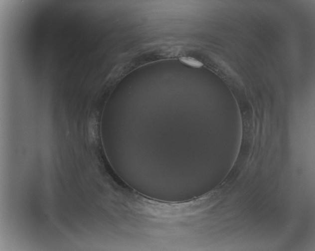 X0000074970035200609081423