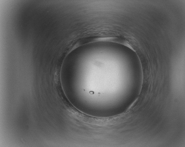 X0000074970037200609081423