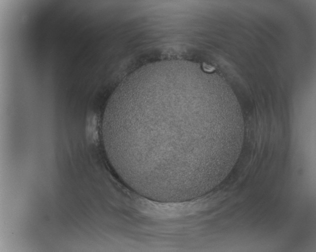 X0000074970038200609081423