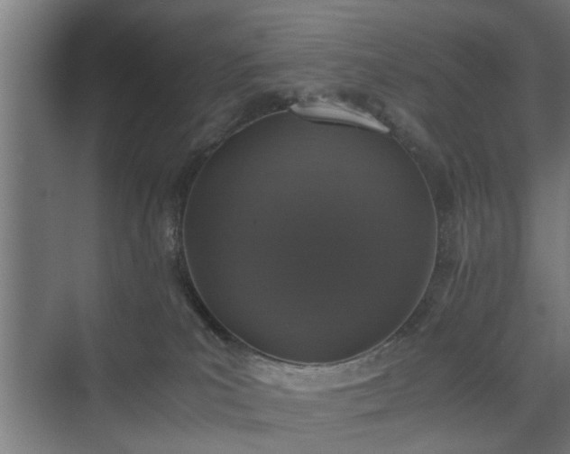 X0000074970039200609081423