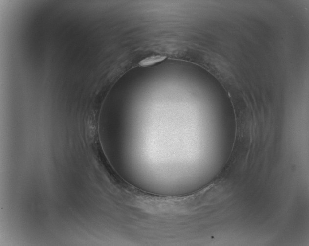 X0000074970040200609081423