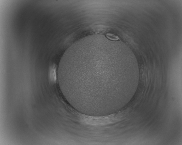 X0000074970042200609081423