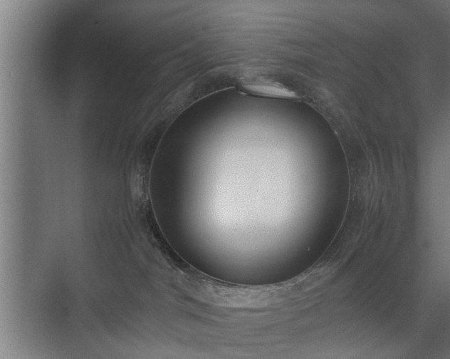 X0000074970044200609081423