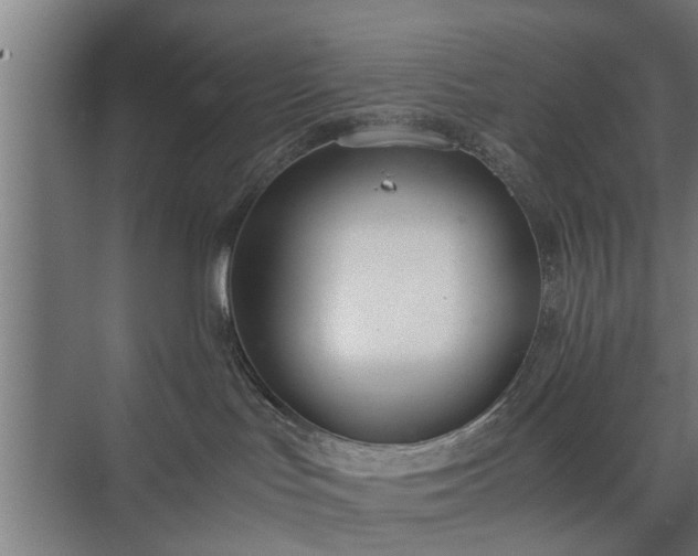 X0000074970047200609081423