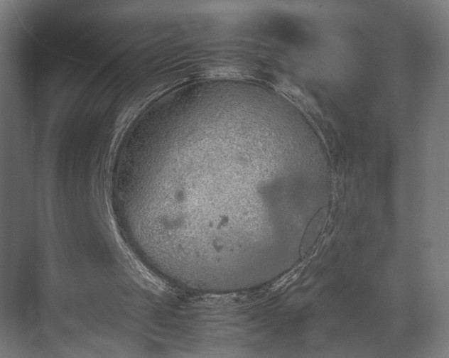 X0000074970049200609081422