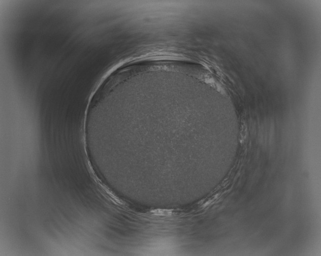 X0000074970052200609081422