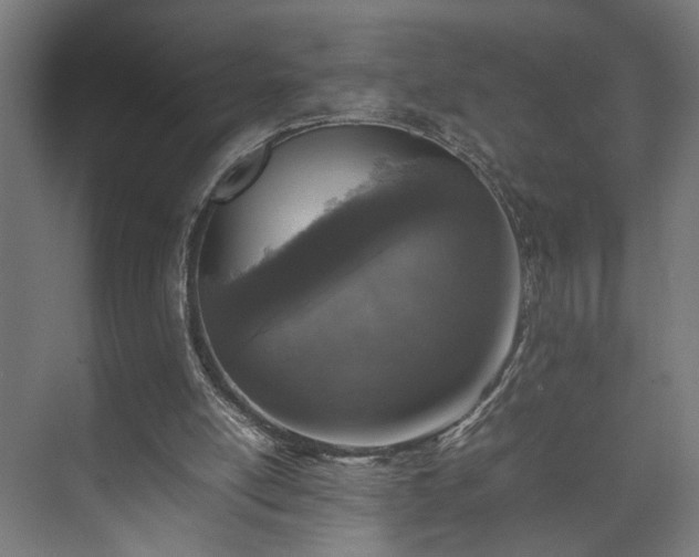 X0000074970054200609081422