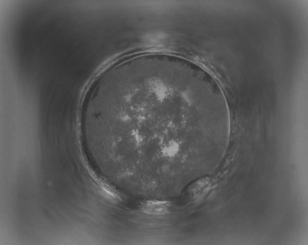 X0000074970055200609081422