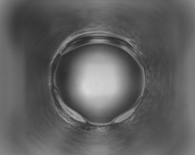 X0000074970056200609081422