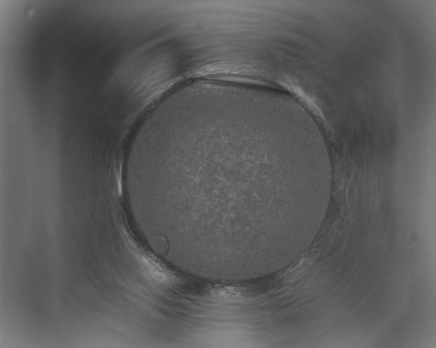 X0000074970062200609081422