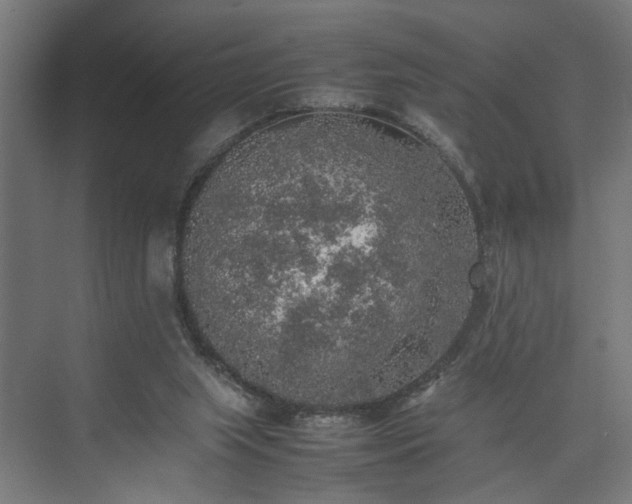 X0000074970063200609081422