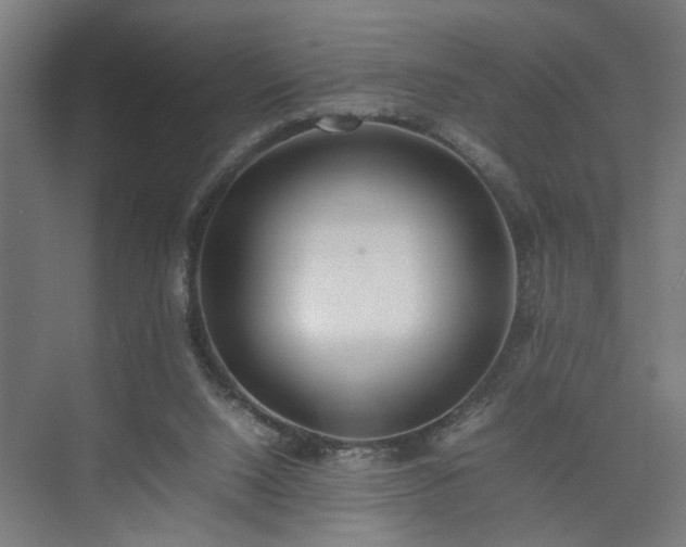 X0000074970064200609081422