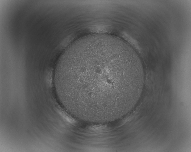 X0000074970065200609081422