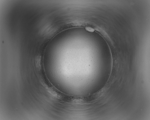 X0000074970066200609081422