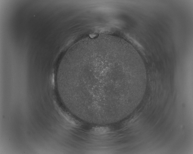 X0000074970067200609081422