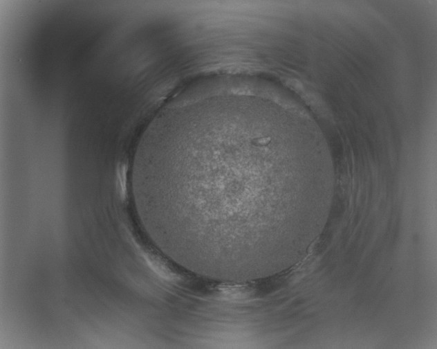 X0000074970070200609081422