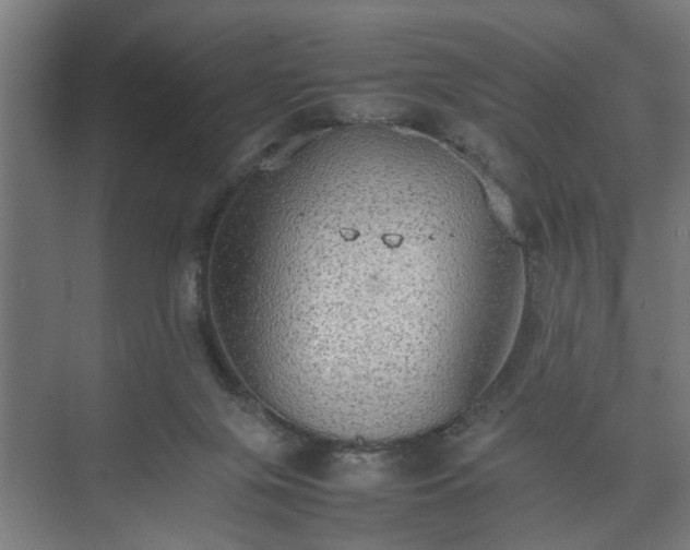 X0000074970071200609081422