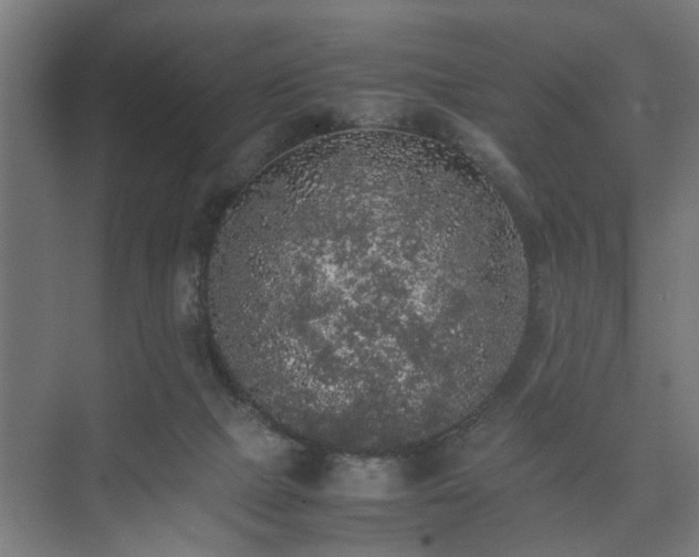 X0000074970073200609081422