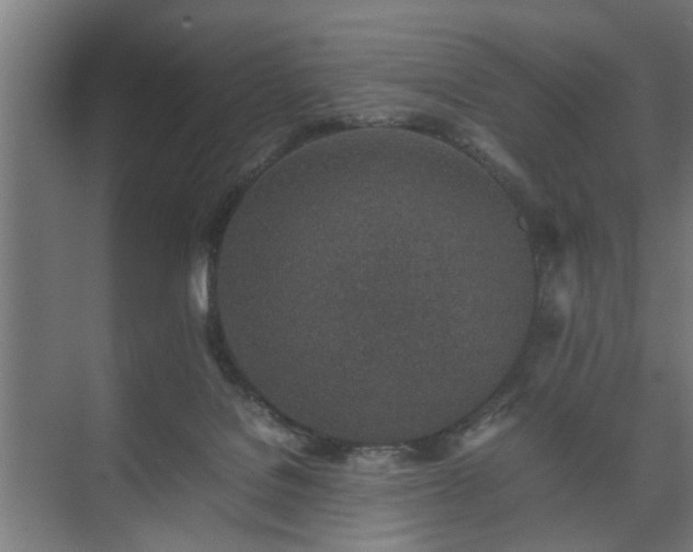 X0000074970076200609081422