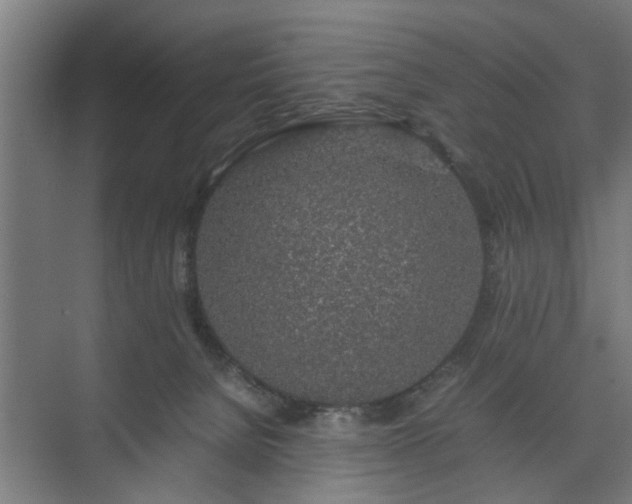 X0000074970080200609081422