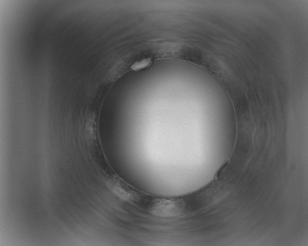 X0000074970083200609081422