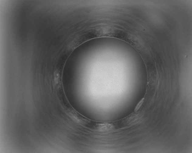 X0000074970087200609081422