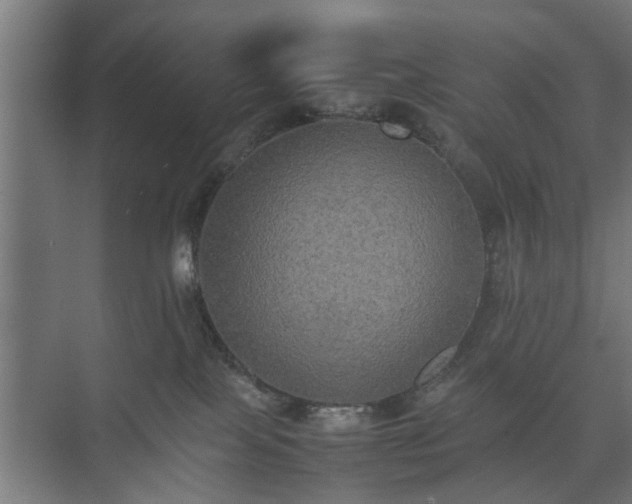 X0000074970089200609081422