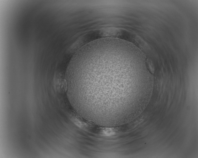 X0000074970091200609081422