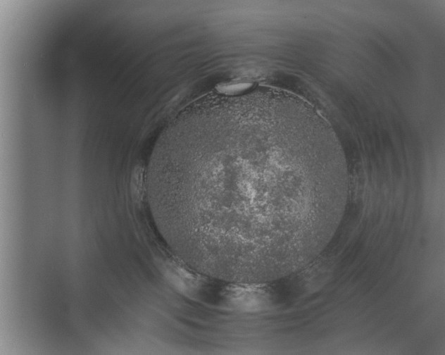 X0000074970093200609081422