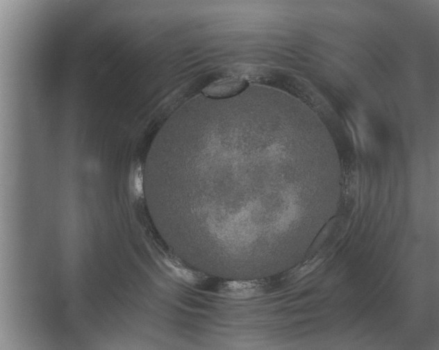 X0000074970095200609081422