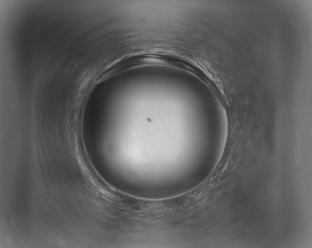 X0000074970097200609081422