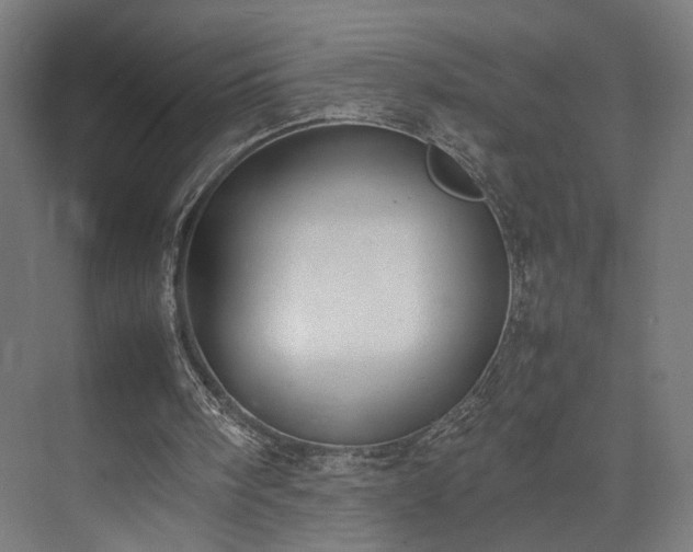 X0000074970098200609081422