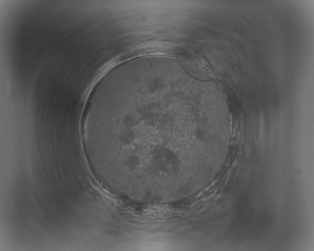 X0000074970099200609081422