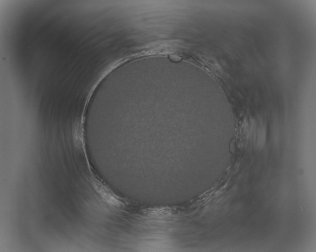 X0000074970100200609081422