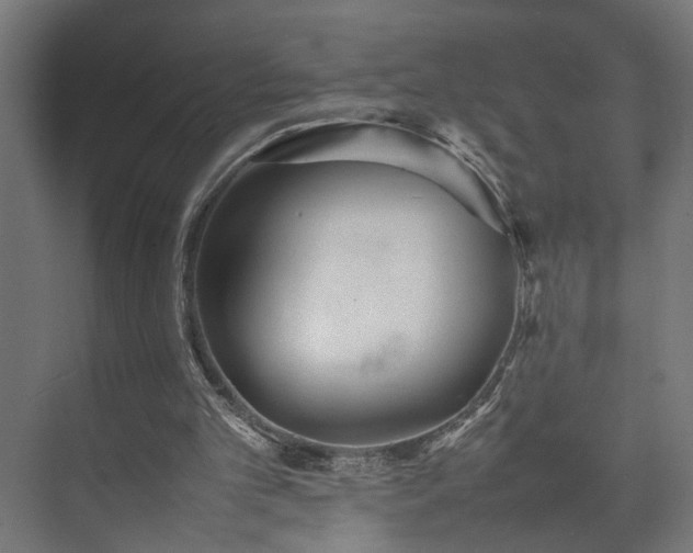 X0000074970101200609081422