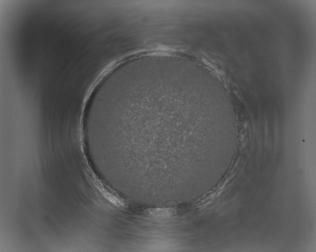 X0000074970102200609081422